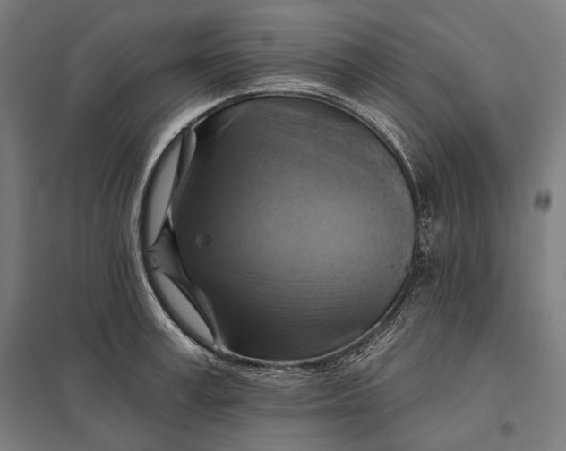 X0000097830995200803281156