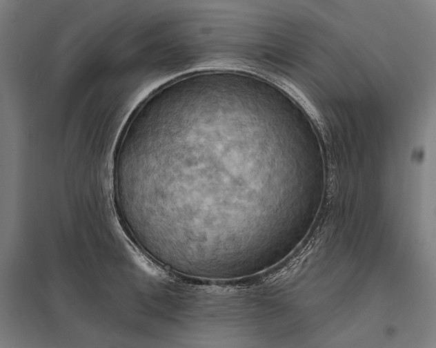 X0000097830996200803281156