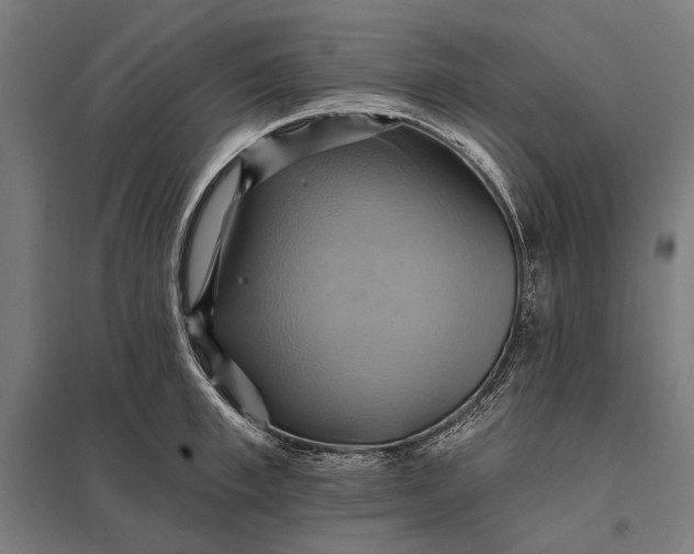 X0000097830997200803281156