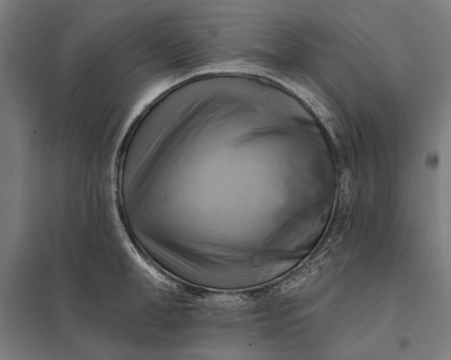 X0000097830998200803281156