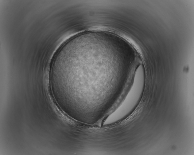 X0000097831000200803281156