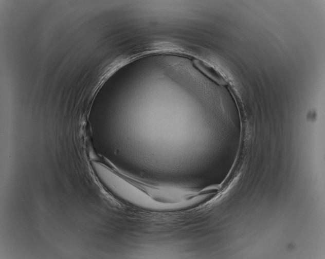 X0000097831001200803281156