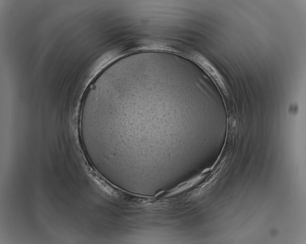 X0000097831002200803281156