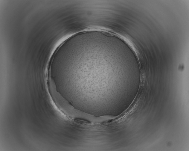 X0000097831003200803281156