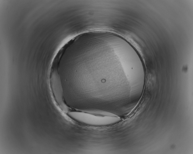 X0000097831005200803281156