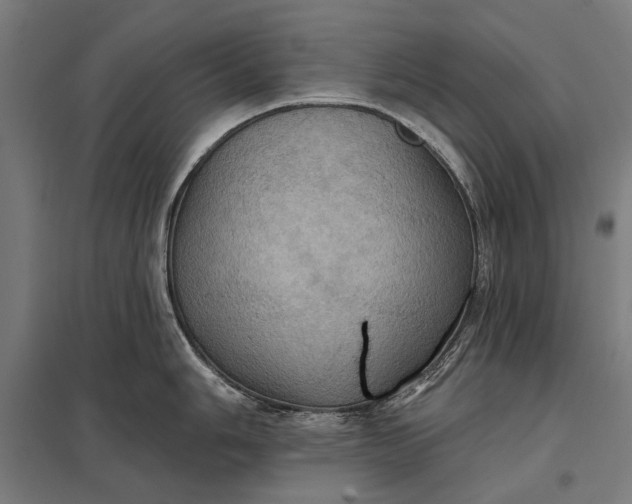 X0000097831006200803281156