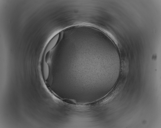 X0000097831007200803281156