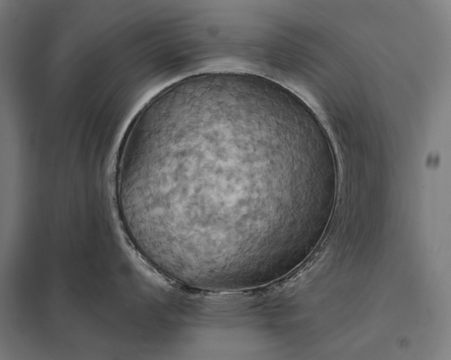 X0000097831008200803281156