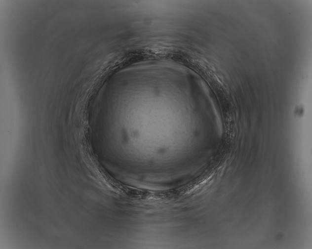 X0000097831009200803281155