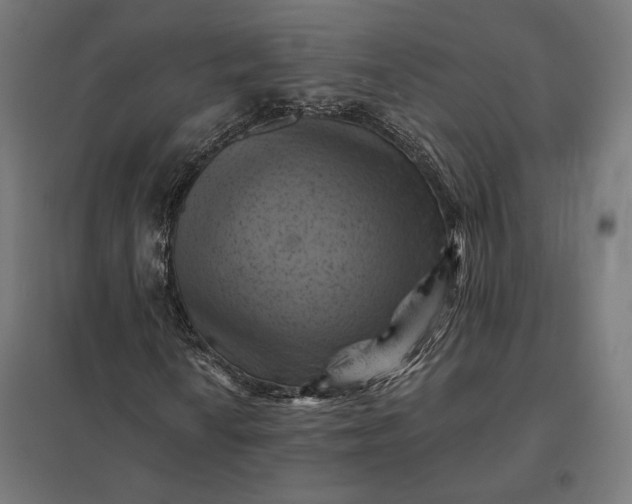 X0000097831010200803281155