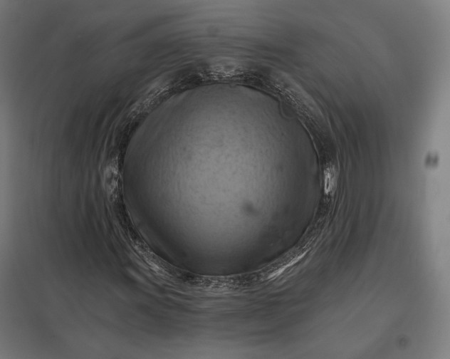 X0000097831011200803281155