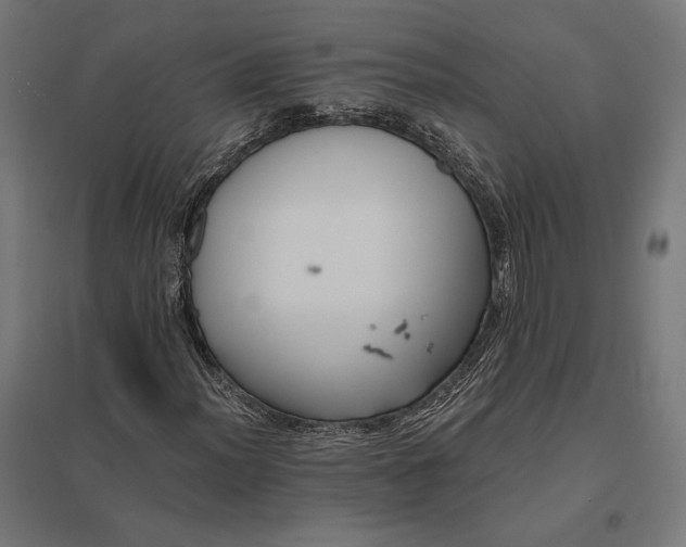 X0000097831012200803281155