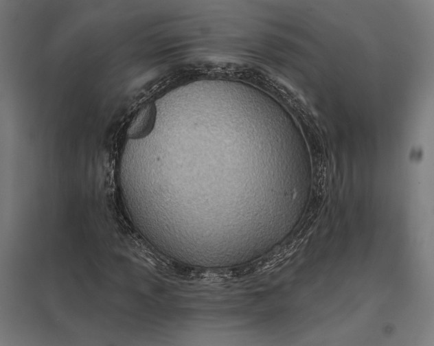 X0000097831013200803281155