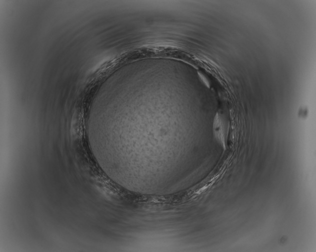 X0000097831014200803281155