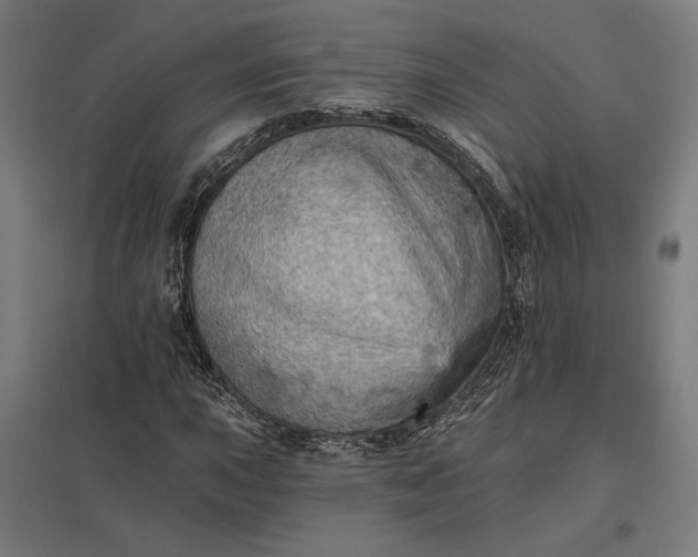 X0000097831015200803281155