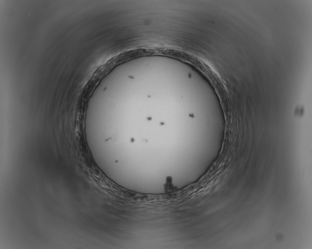 X0000097831016200803281155