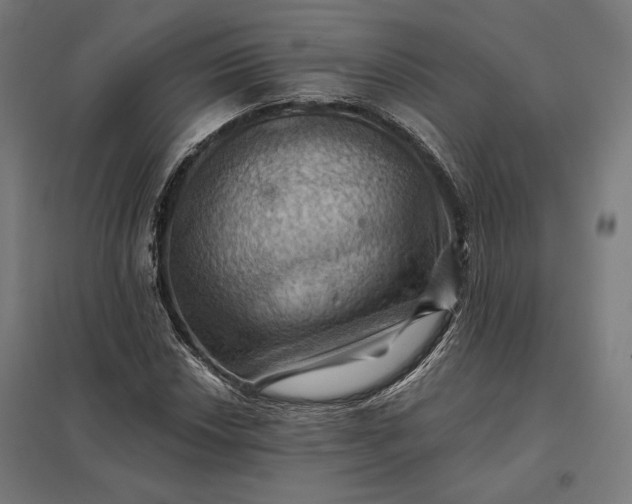 X0000097831018200803281155