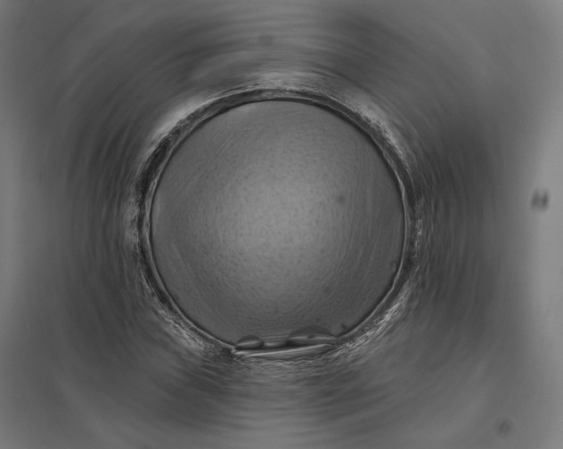 X0000097831019200803281155