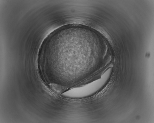 X0000097831020200803281155