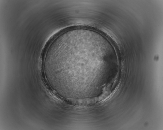 X0000097831021200803281155