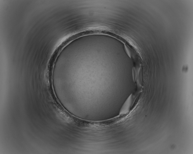 X0000097831022200803281155