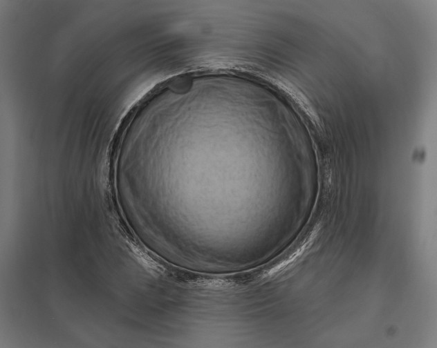 X0000097831023200803281155