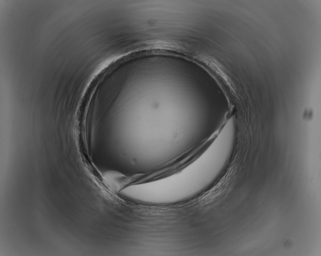 X0000097831024200803281155