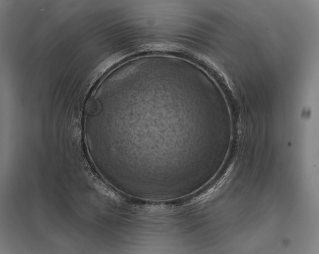 X0000097831025200803281155