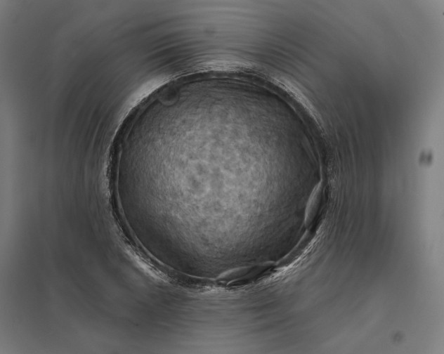 X0000097831026200803281155