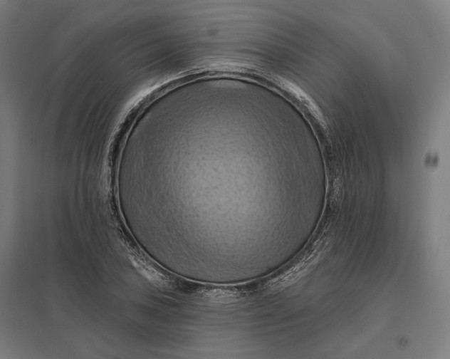 X0000097831027200803281155