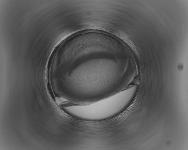 X0000097831028200803281155