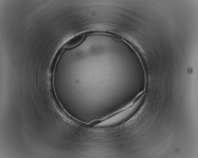 X0000097831029200803281155