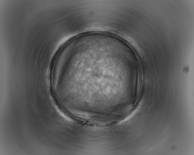 X0000097831030200803281155