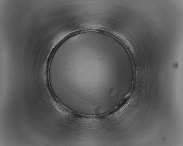 X0000097831031200803281155