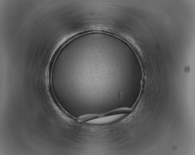 X0000097831032200803281155