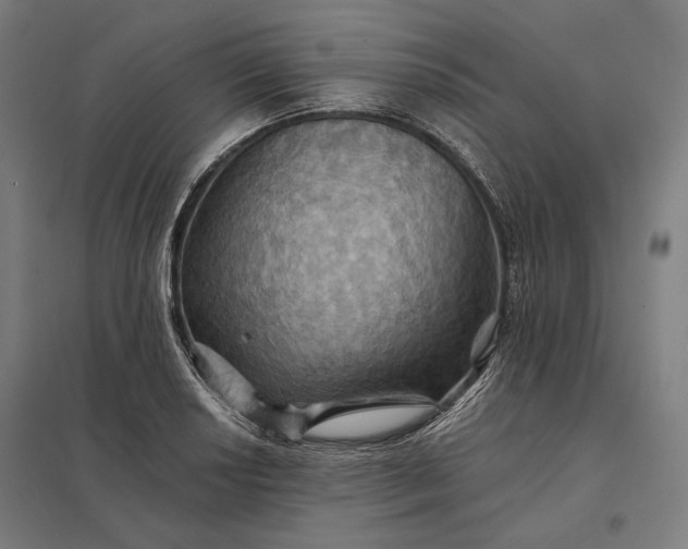 X0000097831034200803281155