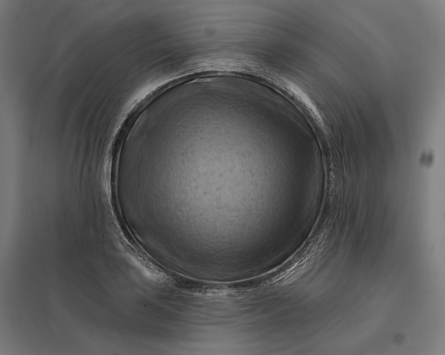 X0000097831035200803281156