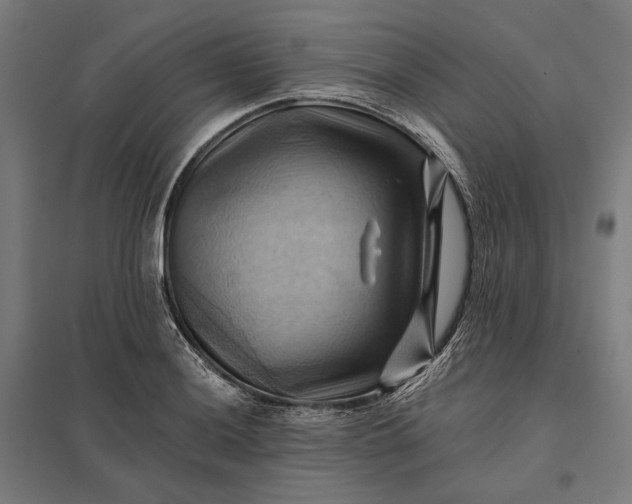 X0000097831036200803281156