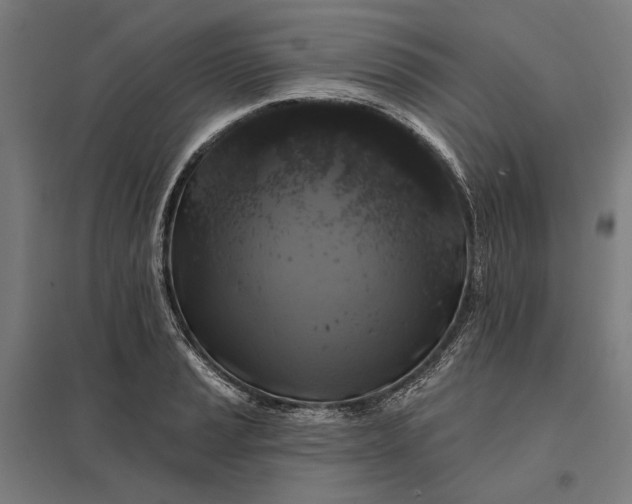 X0000097831037200803281156