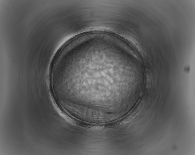 X0000097831038200803281156