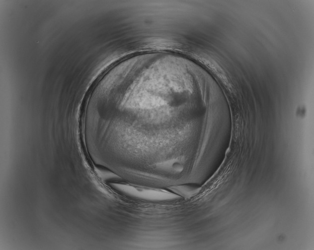 X0000097831039200803281156