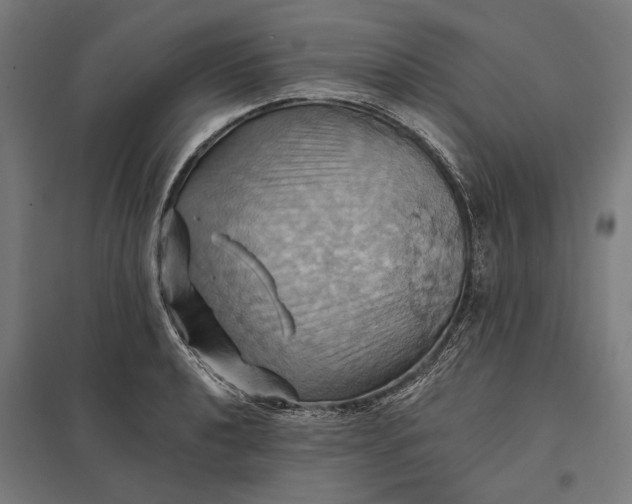 X0000097831040200803281156