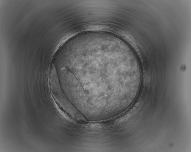 X0000097831041200803281156