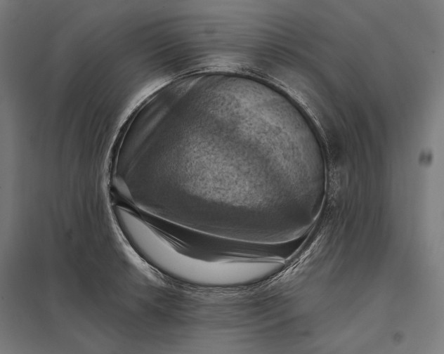 X0000097831042200803281156