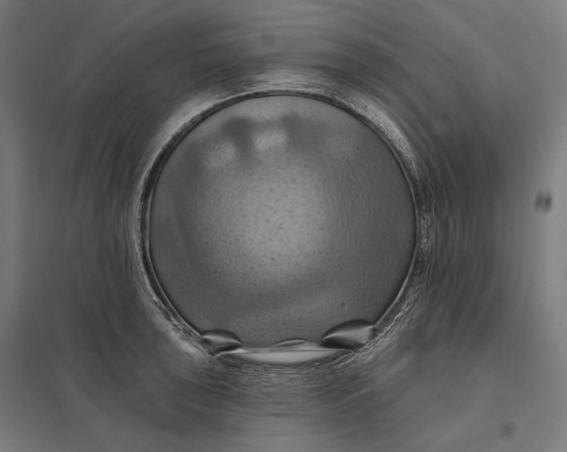 X0000097831043200803281156