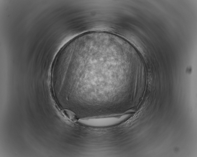 X0000097831044200803281156