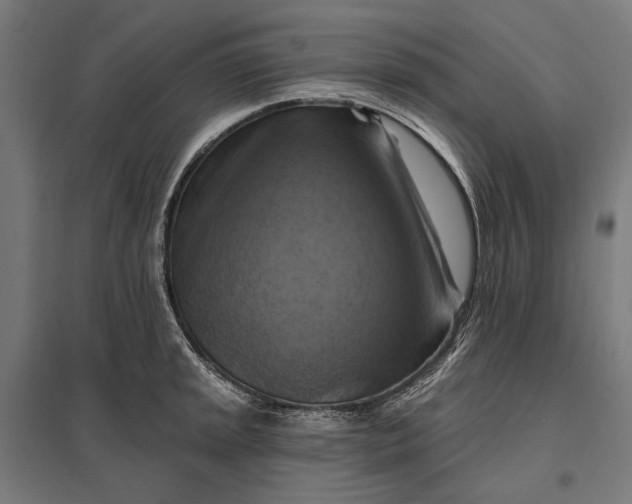 X0000097831045200803281156