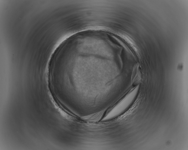 X0000097831046200803281156