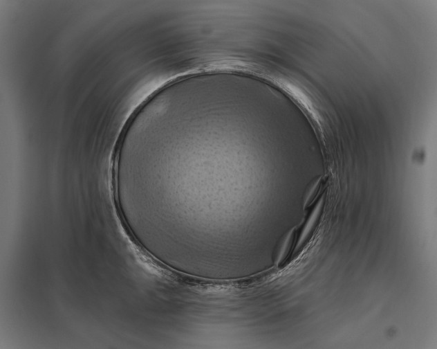 X0000097831047200803281156