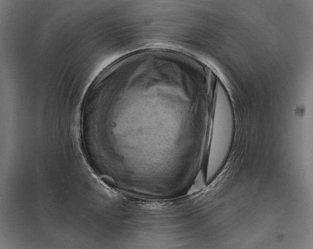 X0000097831048200803281156